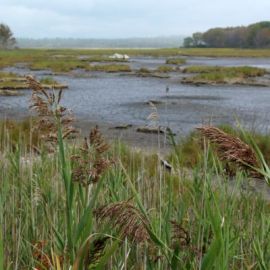 Exploring Wells National Estuarine Research Reserve